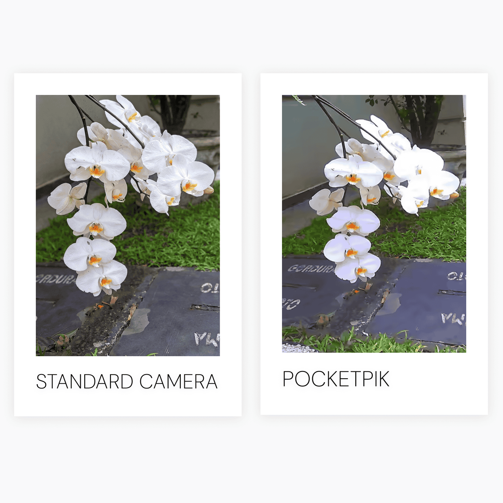 PocketPik Retro Keychain Camera - Image 14